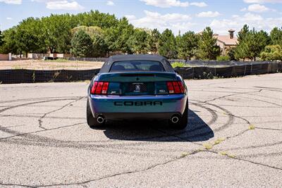 2004 Ford Mustang SVT Cobra Cobra   - Photo 4 - Albuquerque, NM 87114