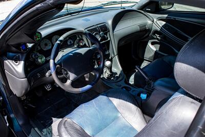 2004 Ford Mustang SVT Cobra Cobra   - Photo 12 - Albuquerque, NM 87114