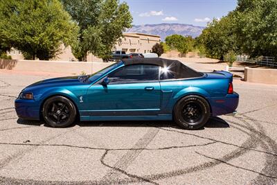 2004 Ford Mustang SVT Cobra Cobra   - Photo 6 - Albuquerque, NM 87114