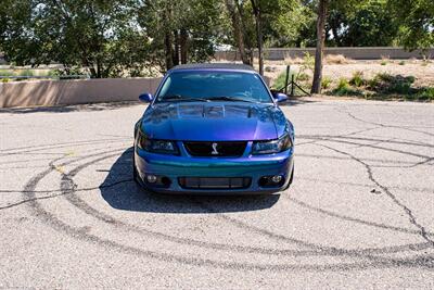 2004 Ford Mustang SVT Cobra Cobra   - Photo 9 - Albuquerque, NM 87114