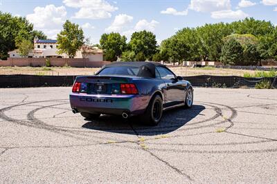 2004 Ford Mustang SVT Cobra Cobra   - Photo 3 - Albuquerque, NM 87114