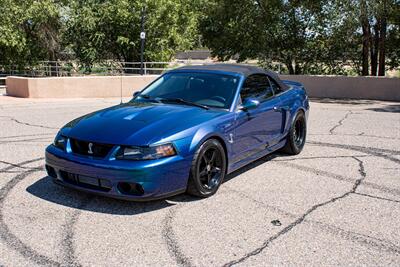 2004 Ford Mustang SVT Cobra Cobra   - Photo 8 - Albuquerque, NM 87114