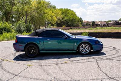 2004 Ford Mustang SVT Cobra Cobra   - Photo 2 - Albuquerque, NM 87114