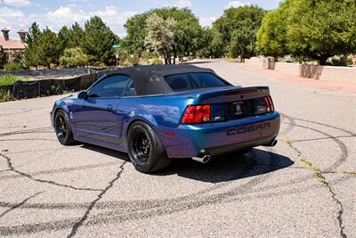 2004 Ford Mustang SVT Cobra Cobra   - Photo 5 - Albuquerque, NM 87114