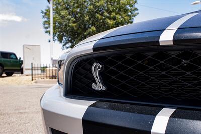 2010 Ford Shelby GT500 Shelby GT500   - Photo 41 - Albuquerque, NM 87114