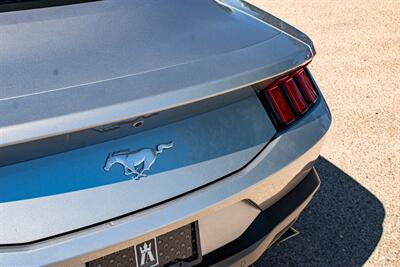 2024 Ford Mustang EcoBoost   - Photo 46 - Albuquerque, NM 87114