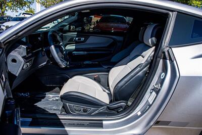 2024 Ford Mustang EcoBoost   - Photo 12 - Albuquerque, NM 87114
