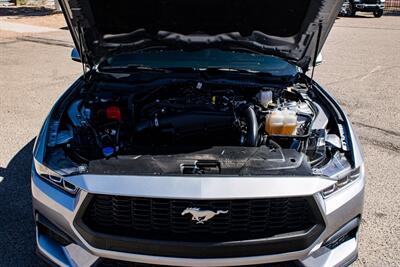 2024 Ford Mustang EcoBoost   - Photo 25 - Albuquerque, NM 87114