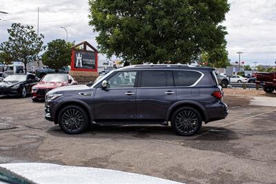 2023 INFINITI QX80 Sensory   - Photo 4 - Albuquerque, NM 87114