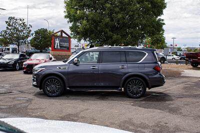 2023 INFINITI QX80 Sensory   - Photo 4 - Albuquerque, NM 87114