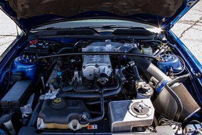 2007 Ford Shelby GT500 Shelby GT500   - Photo 51 - Albuquerque, NM 87114