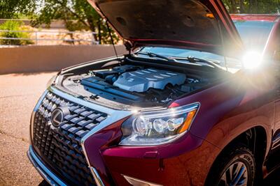 2019 Lexus GX 460 Luxury   - Photo 10 - Albuquerque, NM 87114