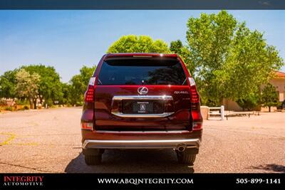 2019 Lexus GX 460 460 Luxury   - Photo 6 - Albuquerque, NM 87114