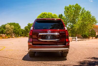 2019 Lexus GX 460 Luxury   - Photo 6 - Albuquerque, NM 87114