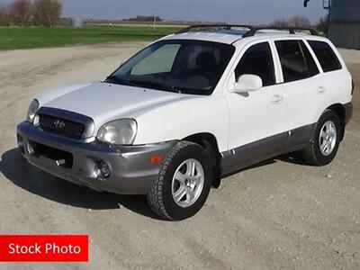 2002 Hyundai SANTA FE GLS   - Photo 4 - Lakewood, CO 80214-5221