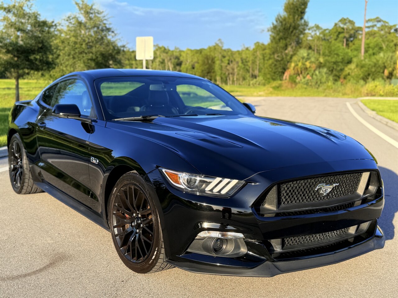 2015 Ford Mustang GT Premium - Photo 67