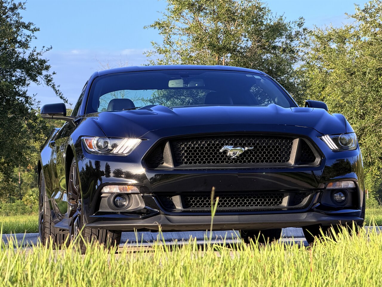2015 Ford Mustang GT Premium - Photo 59