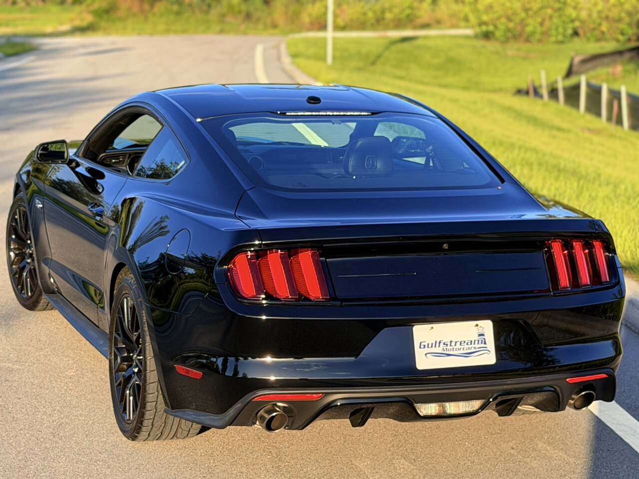 2015 Ford Mustang GT Premium - Photo 6