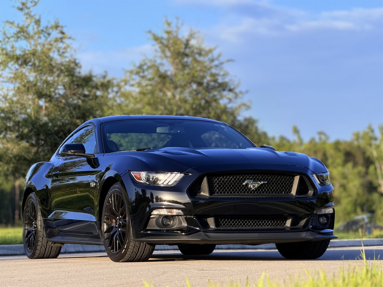 2015 Ford Mustang GT Premium - Photo 58