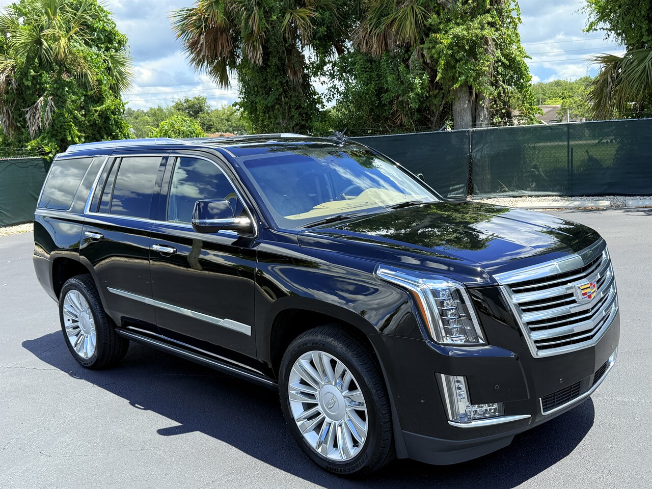2017 Cadillac Escalade Platinum   - Photo 3 - West Palm Beach, FL 33409