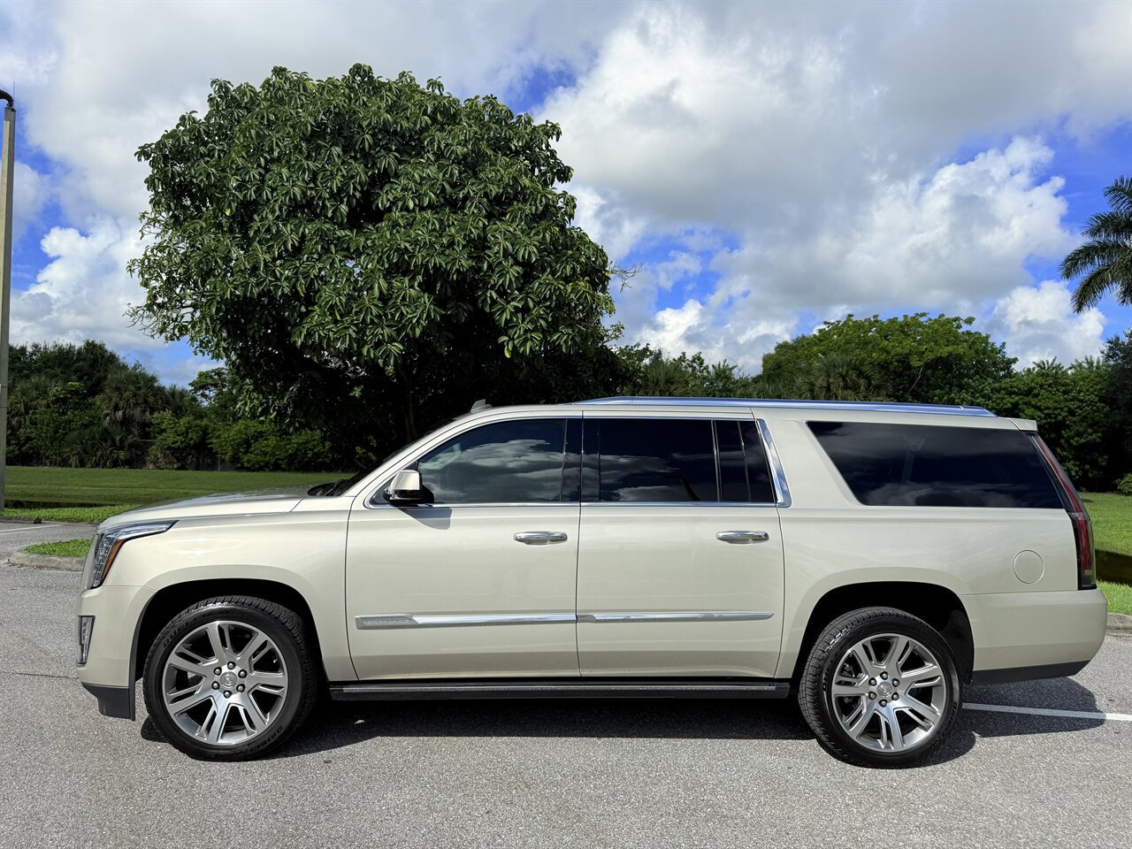 2015 Cadillac Escalade ESV Premium   - Photo 4 - West Palm Beach, FL 33409