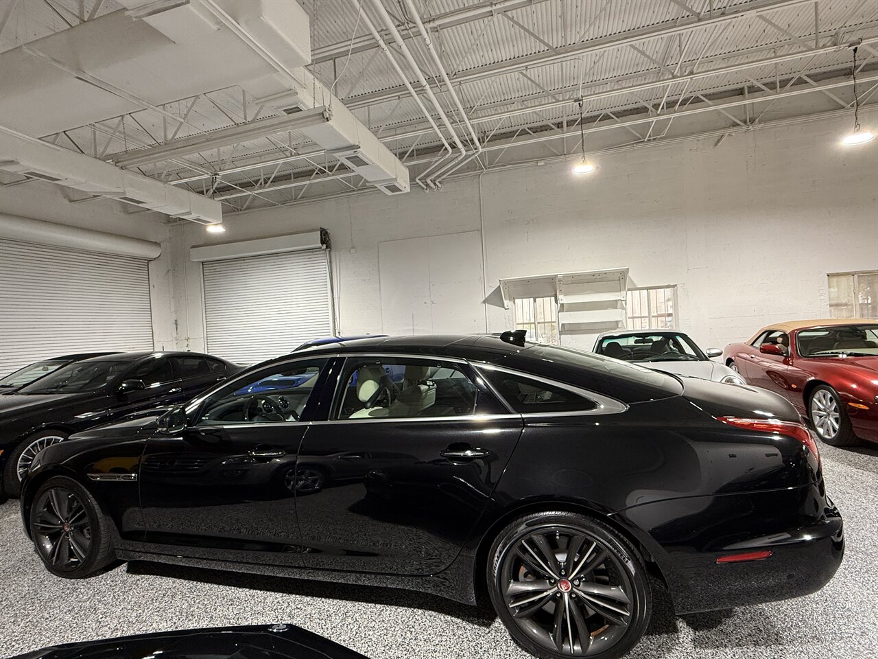 2019 Jaguar XJ Collection   - Photo 1 - West Palm Beach, FL 33409
