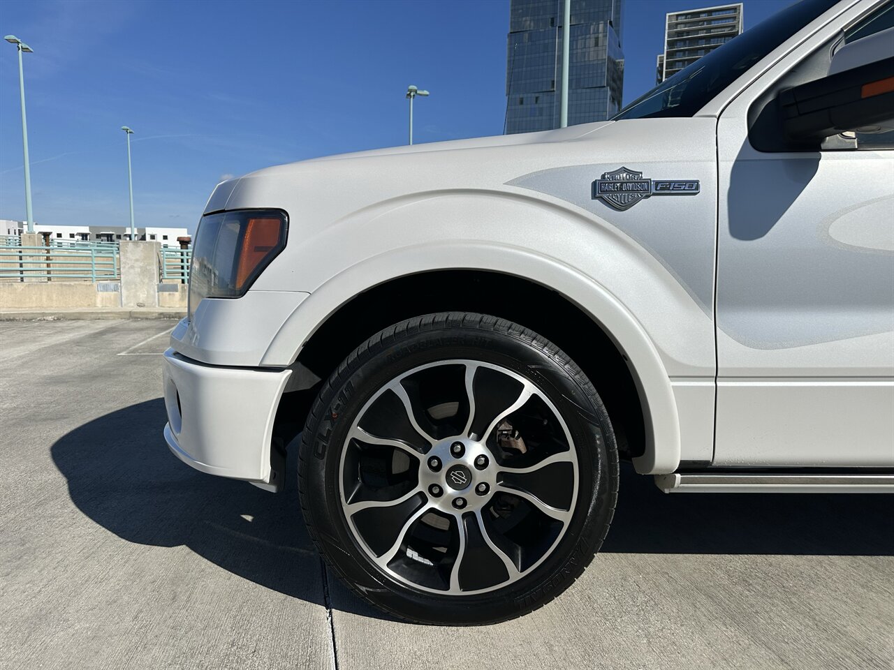 2012 Ford F-150 Harley-Davidson   - Photo 14 - West Palm Beach, FL 33409