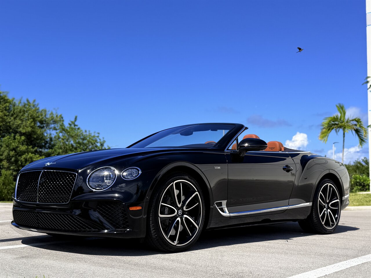 2024 Bentley Continental GTC Edition 8   - Photo 29 - West Palm Beach, FL 33409