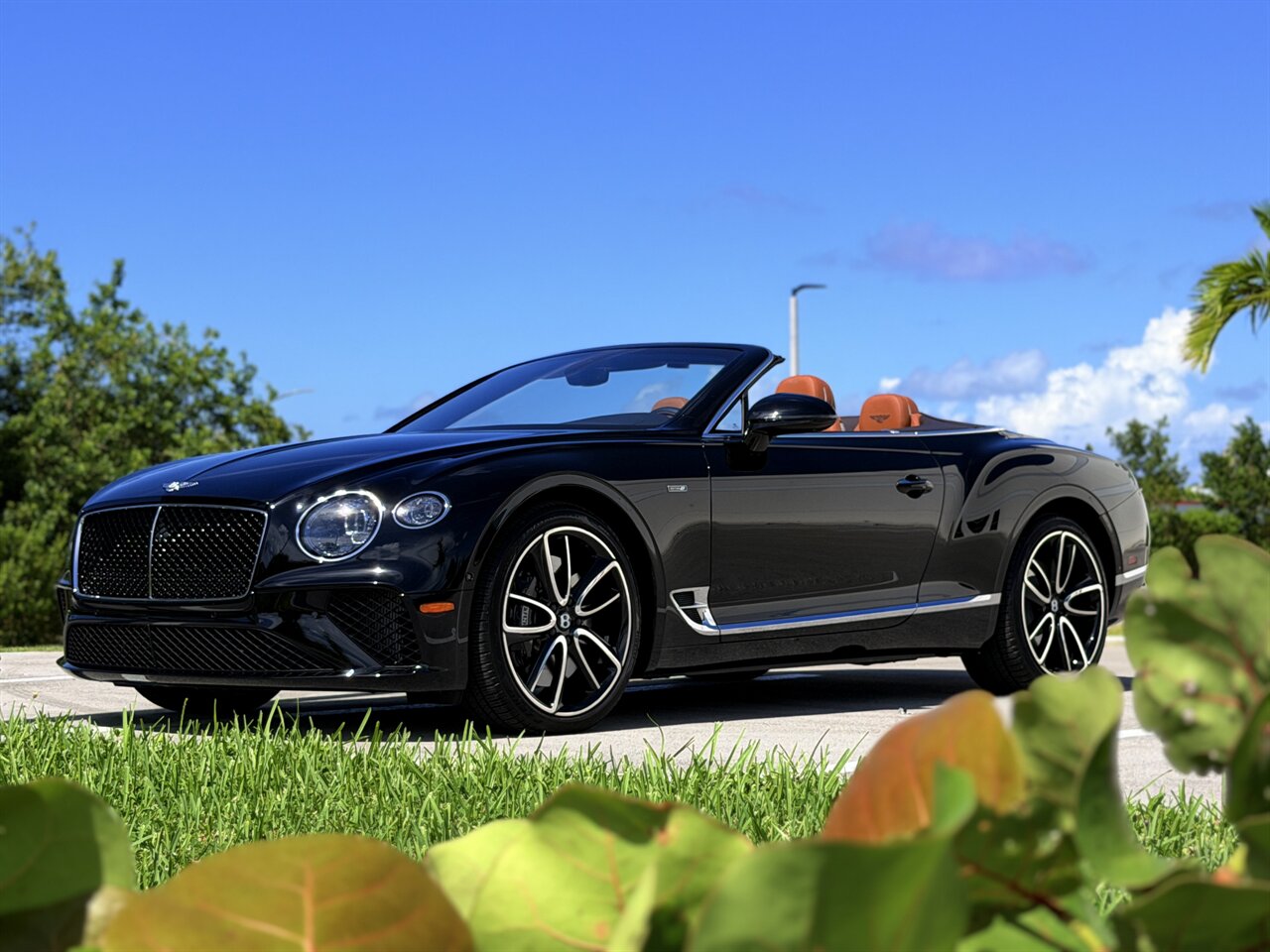 2024 Bentley Continental GTC Edition 8   - Photo 3 - West Palm Beach, FL 33409