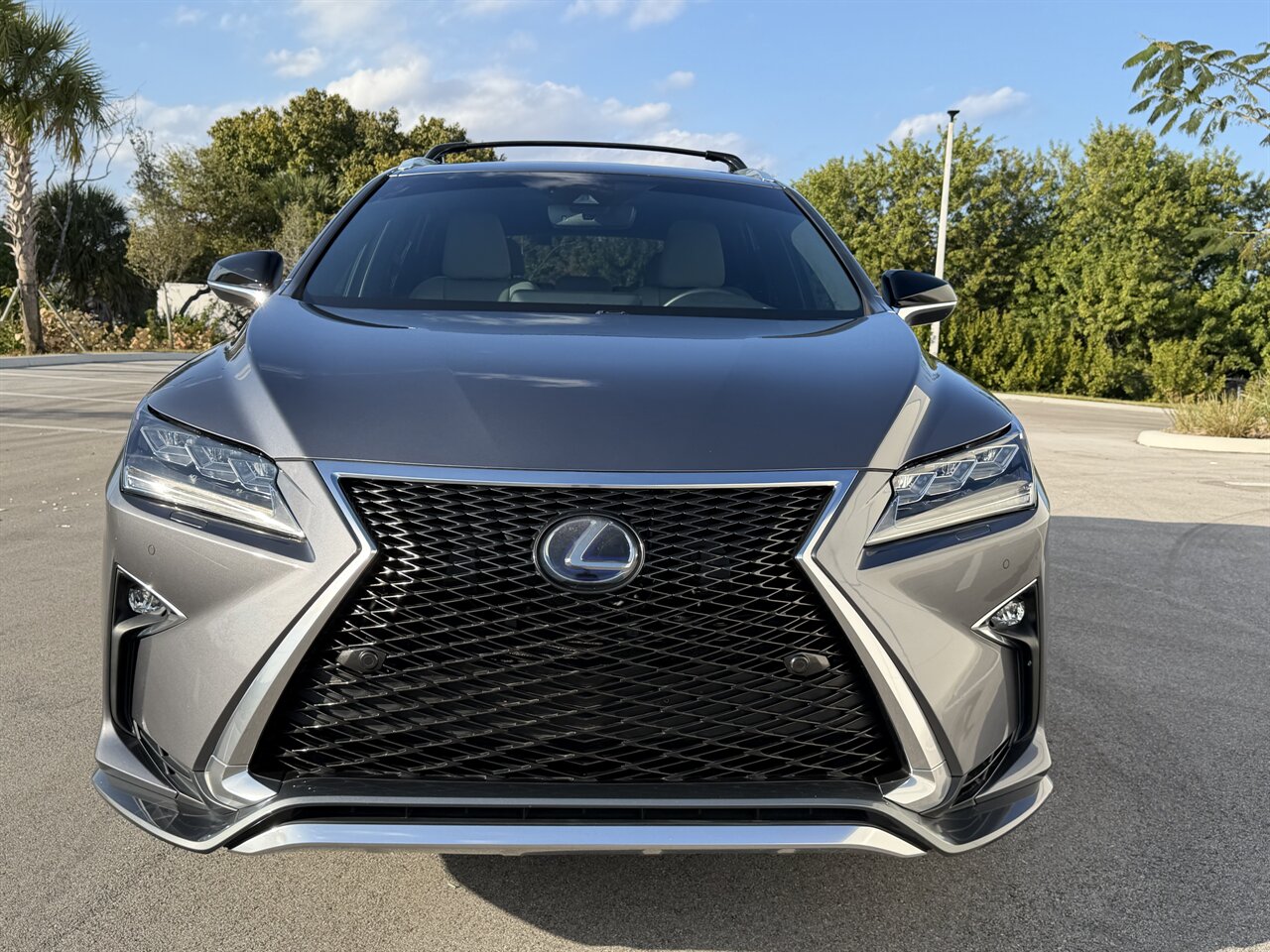 2019 Lexus RX 450h F SPORT   - Photo 9 - West Palm Beach, FL 33409