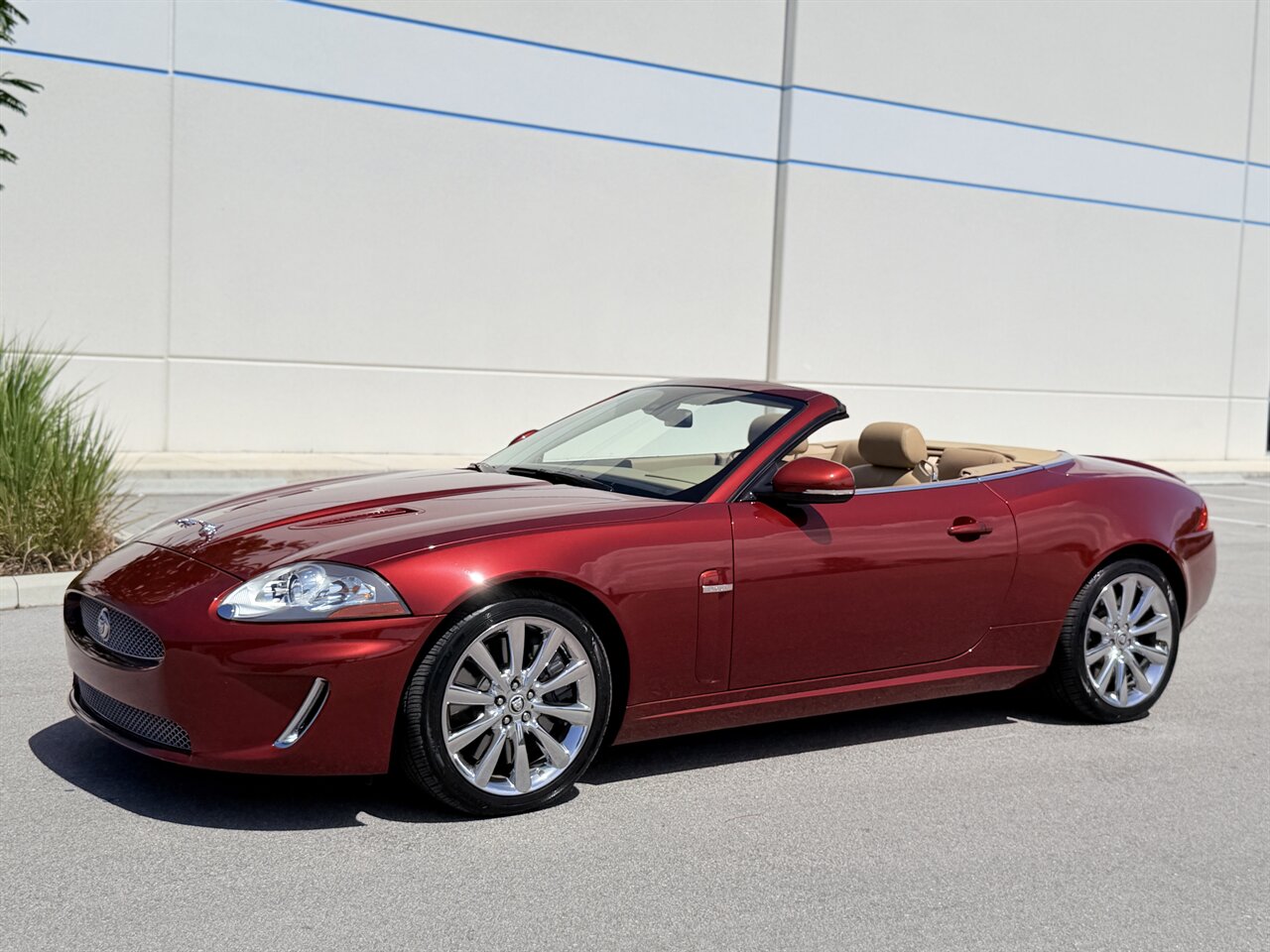 2010 Jaguar XK XKR Convertible - Photo 66 - West Palm Beach, FL 33409
