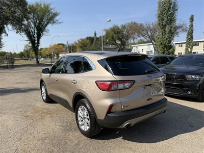 2020 Ford Escape SE   - Photo 4 - Edmonton, AB T5W 1E5