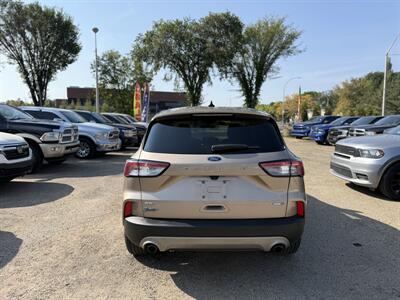 2020 Ford Escape SE   - Photo 5 - Edmonton, AB T5W 1E5
