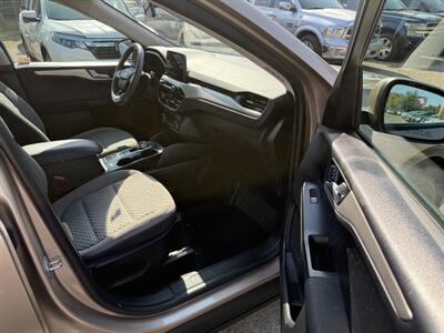 2020 Ford Escape SE   - Photo 7 - Edmonton, AB T5W 1E5