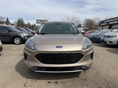 2020 Ford Escape SE  One Owner No Accidents - Photo 2 - Edmonton, AB T5W 1E5