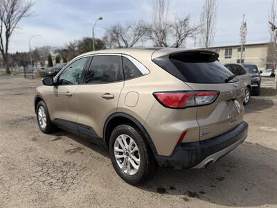 2020 Ford Escape SE  One Owner No Accidents - Photo 4 - Edmonton, AB T5W 1E5