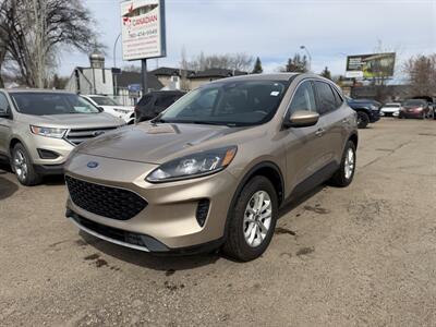 2020 Ford Escape SE  One Owner No Accidents - Photo 3 - Edmonton, AB T5W 1E5