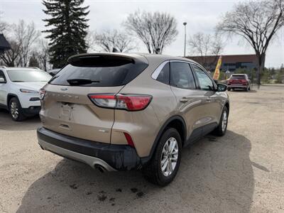 2020 Ford Escape SE  One Owner No Accidents - Photo 6 - Edmonton, AB T5W 1E5