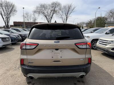 2020 Ford Escape SE  One Owner No Accidents - Photo 5 - Edmonton, AB T5W 1E5