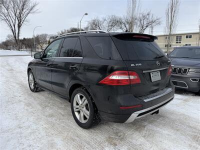 2014 Mercedes-Benz ML 350 BlueTEC   - Photo 4 - Edmonton, AB T5W 1E5