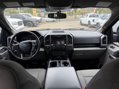 2017 Ford F-150 XLT Crew cab   - Photo 12 - Edmonton, AB T5W 1E5