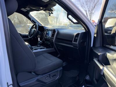 2020 Ford F-150 XL   - Photo 7 - Edmonton, AB T5W 1E5