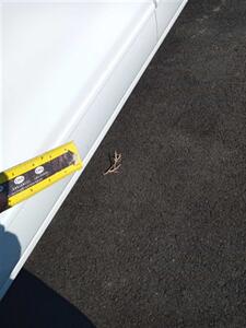 2016 Chevrolet Silverado 1500 LT   - Photo 25 - Kalispell, MT 59901