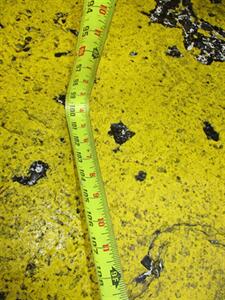 2004 Ford Econoline E-250   - Photo 16 - Seattle, WA 98103