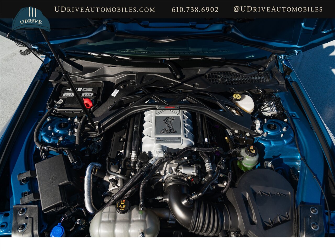 2020 Ford Mustang Shelby GT500 LIVE ON BRING A TRAILER Carbon Fiber Track Pack White Over The Top Stripe Teck Pkg 215 Miles - Photo 17 - West Chester, PA 19382