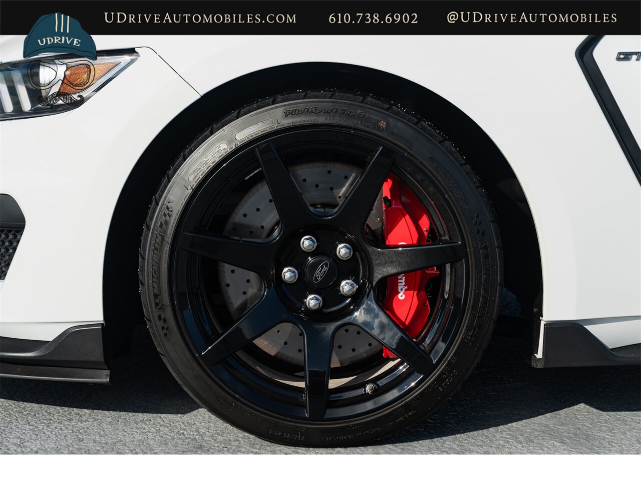 2016 Ford Mustang Shelby GT350R  1 Owner 200 Miles Blue Stripe with Red Accent Electronics Pkg - Photo 63 - West Chester, PA 19382