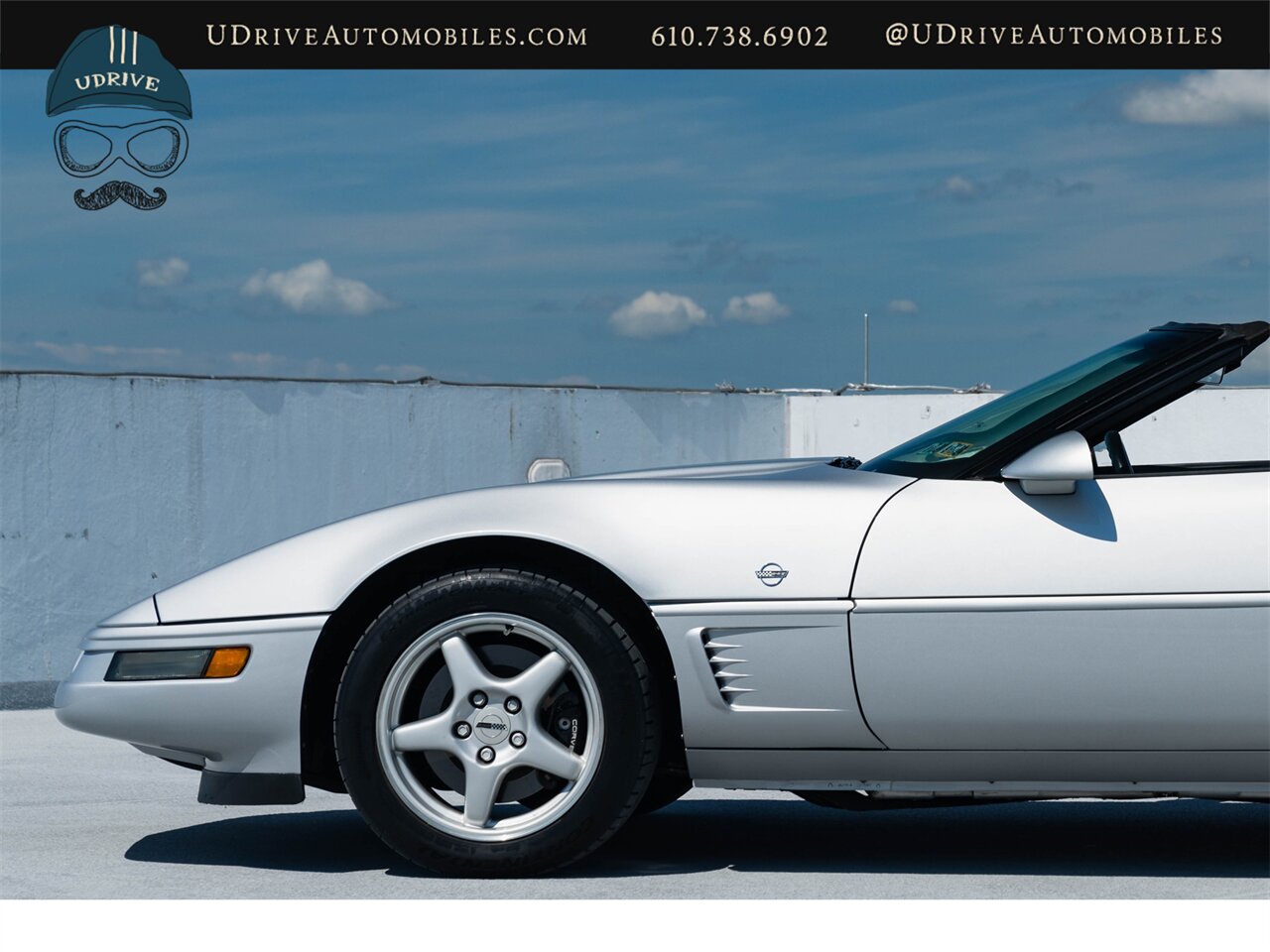 1996 Chevrolet Corvette Collectors Edition - Photo 11 - West Chester, PA 19382