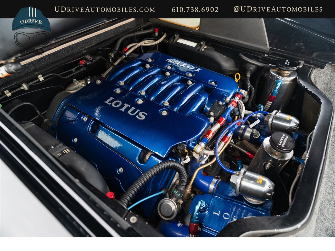 2003 Lotus Esprit V8   - Photo 80 - West Chester, PA 19382