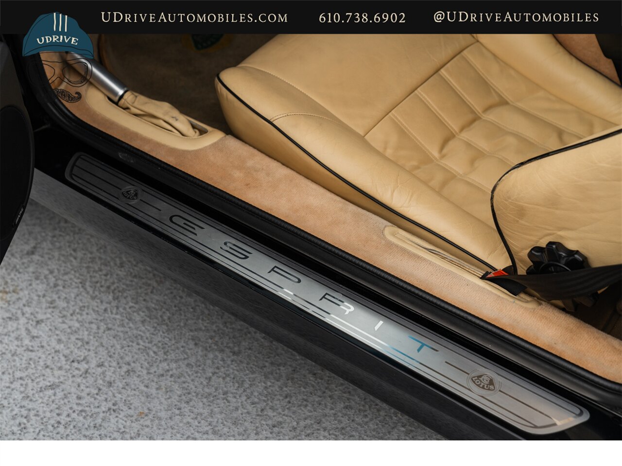 2003 Lotus Esprit V8   - Photo 47 - West Chester, PA 19382