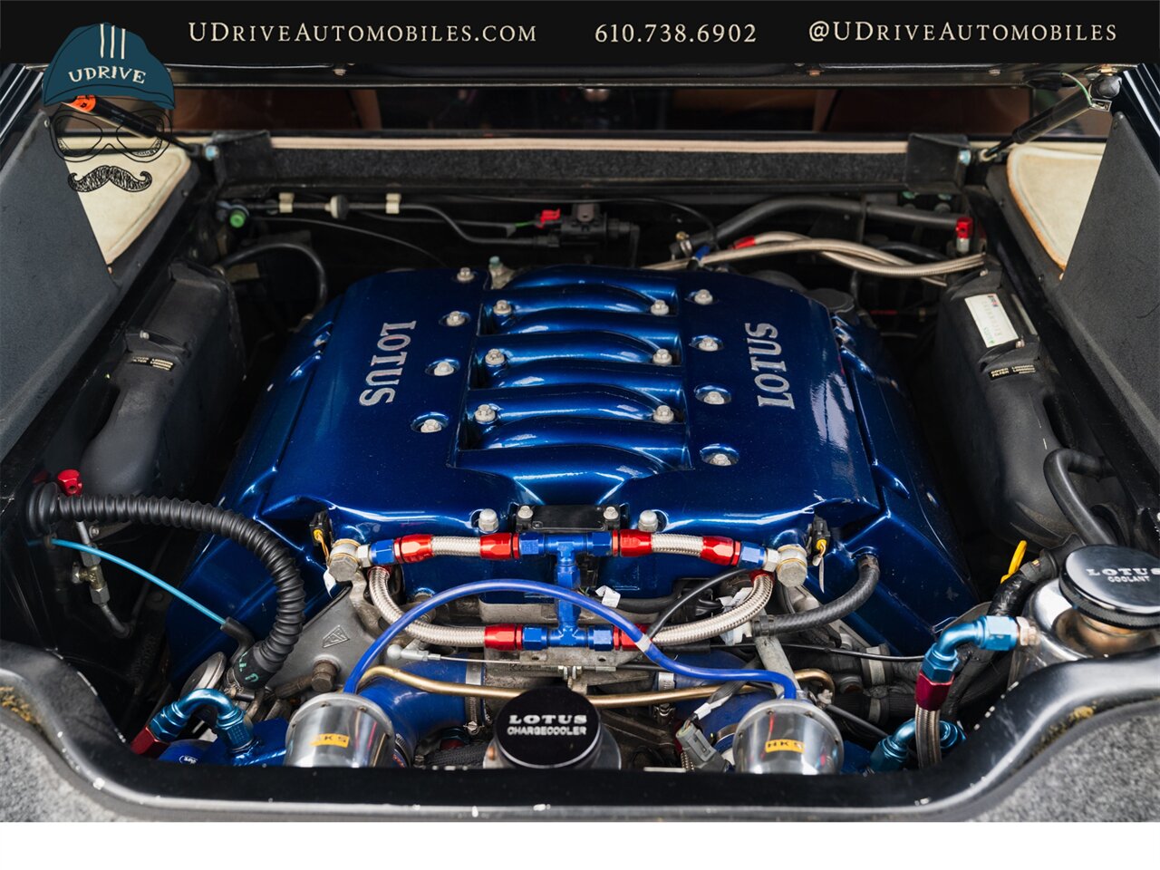 2003 Lotus Esprit V8   - Photo 74 - West Chester, PA 19382